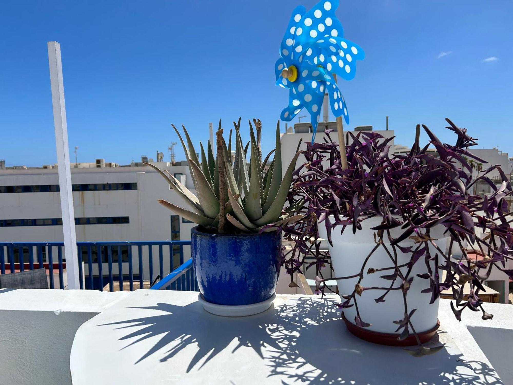 La Buganvilla Rooms Arrecife Kültér fotó