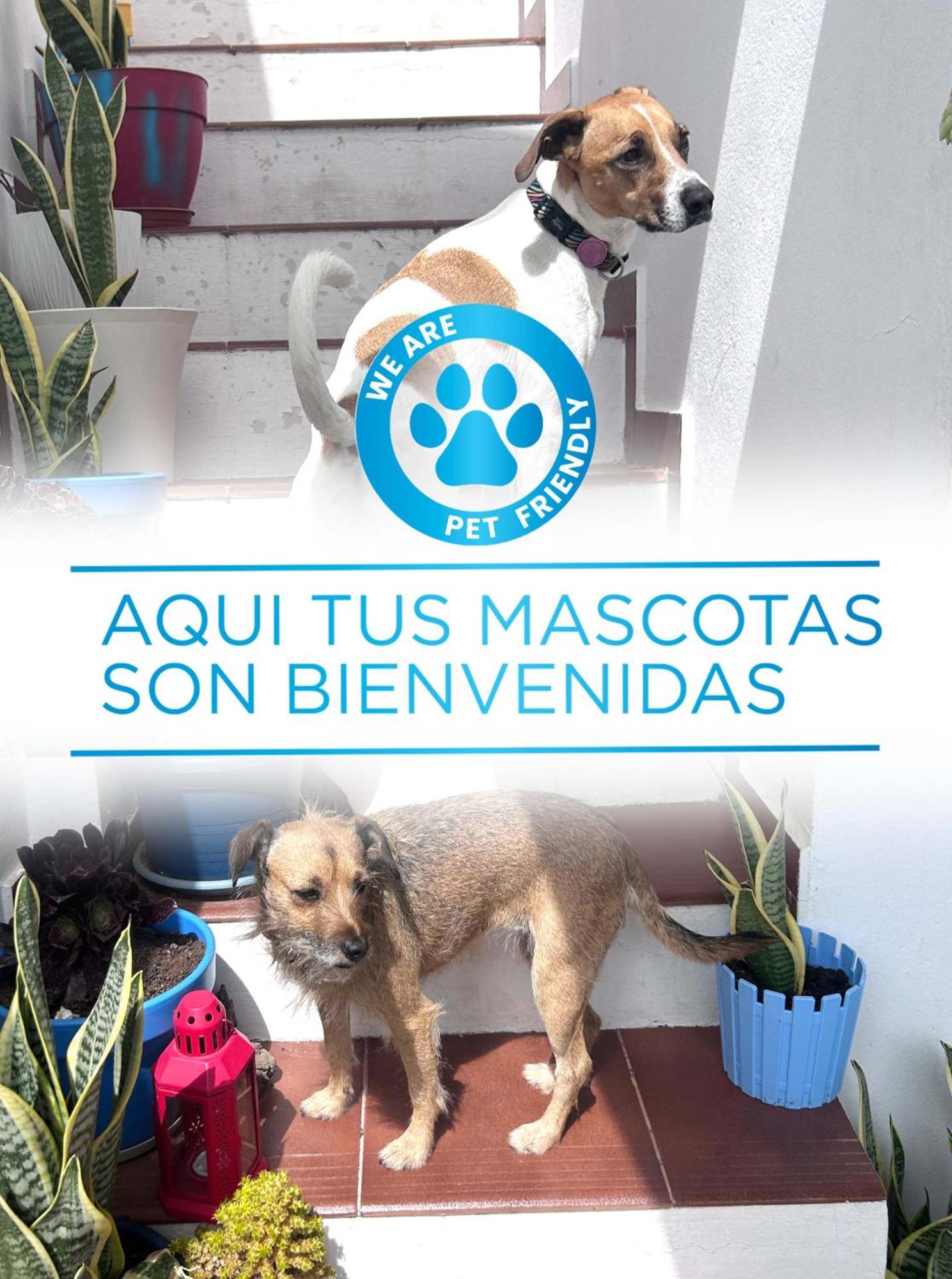 La Buganvilla Rooms Arrecife Kültér fotó