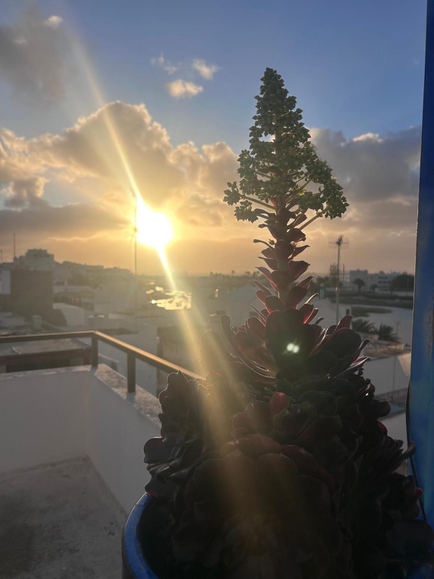 La Buganvilla Rooms Arrecife Kültér fotó