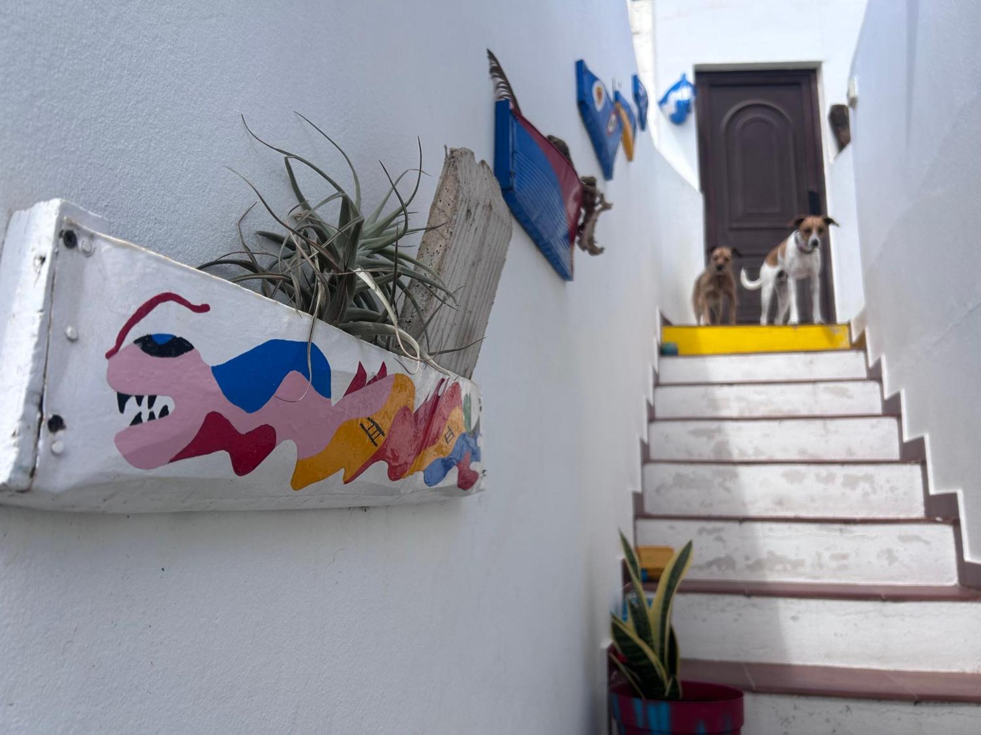 La Buganvilla Rooms Arrecife Kültér fotó