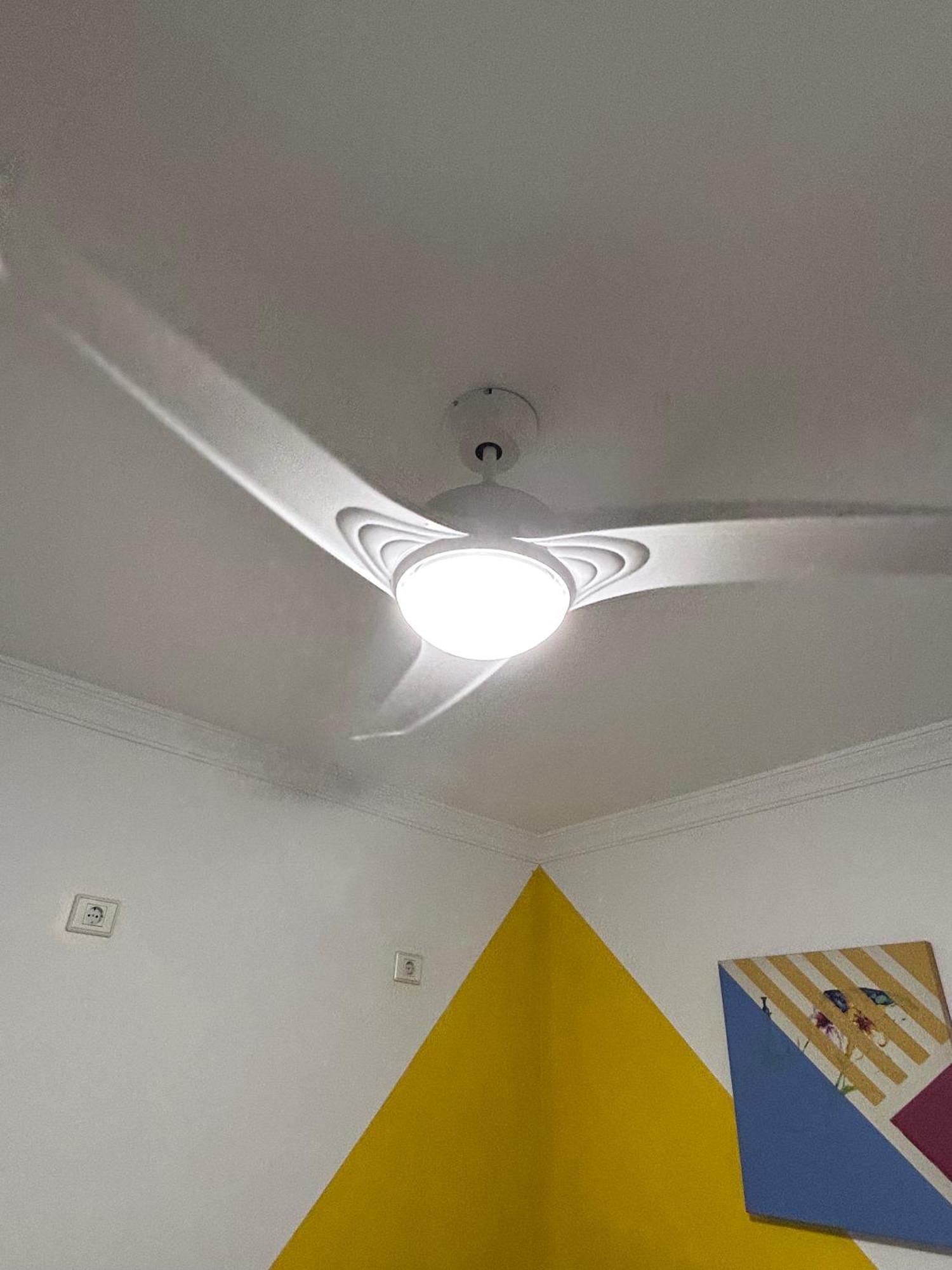 La Buganvilla Rooms Arrecife Kültér fotó